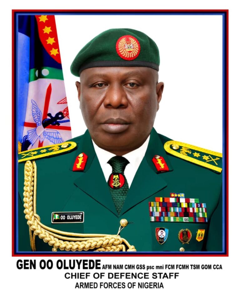 ‎DHQ Releases Official Portrait of CDS Gen. Oluyede