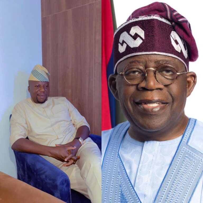 An Open Letter to the President of Nigeria HIs Excellency, Bola Ahmed Tinubu GCFR