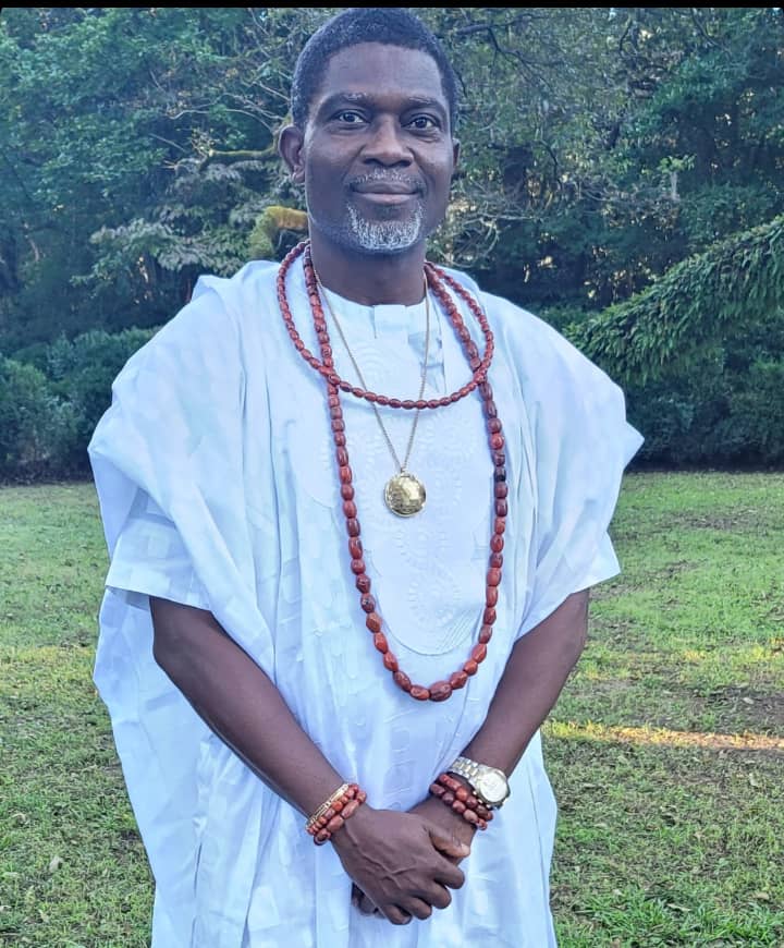 THE PROFESSOR IN THE PALACE