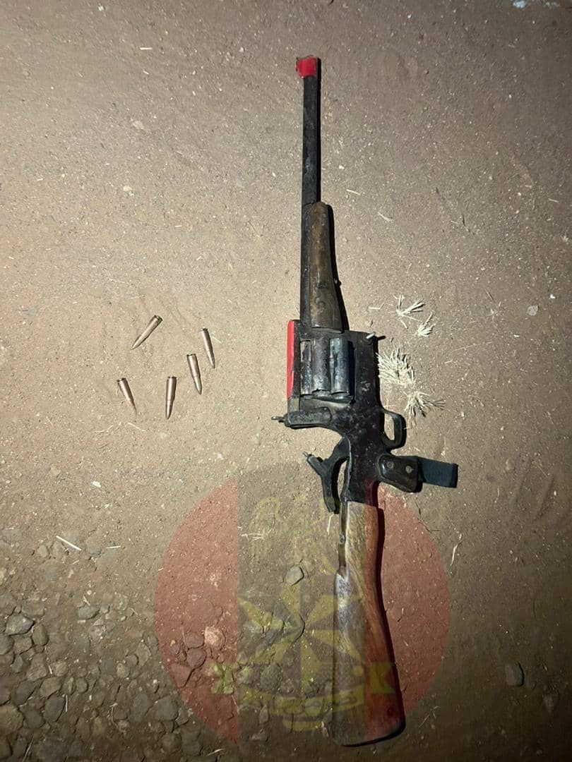 Troops Kill Seven Suspected Criminals, Rescue Kidnap Victim in Kaduna - Army