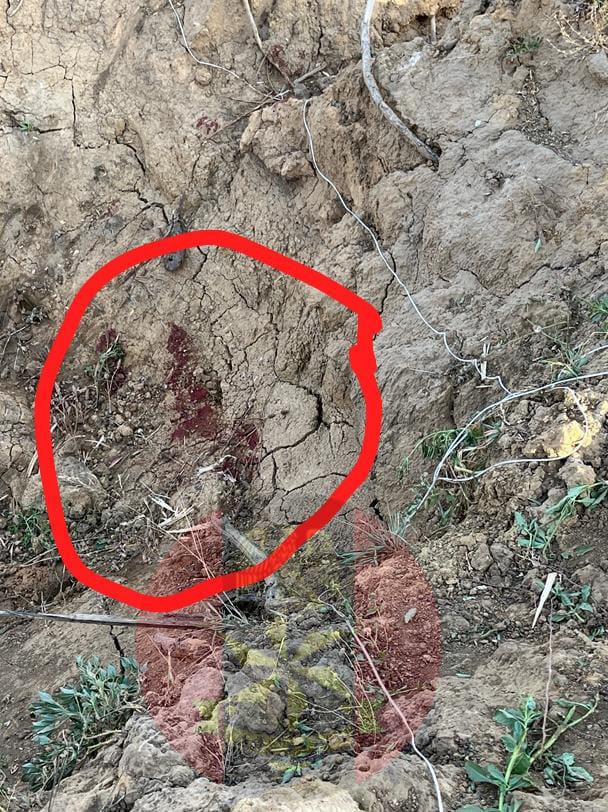 Operation HADIN KAI Repels Terror Attacks in Adamawa, Borno, Kills Scores
