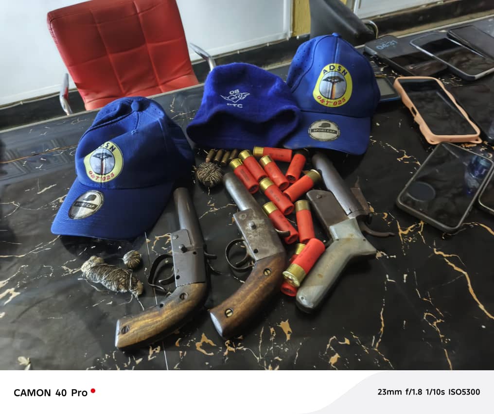 Midnight Raid: Ogun Police Nab 14 Suspected Cultists, Recover Pistols, Vehicles