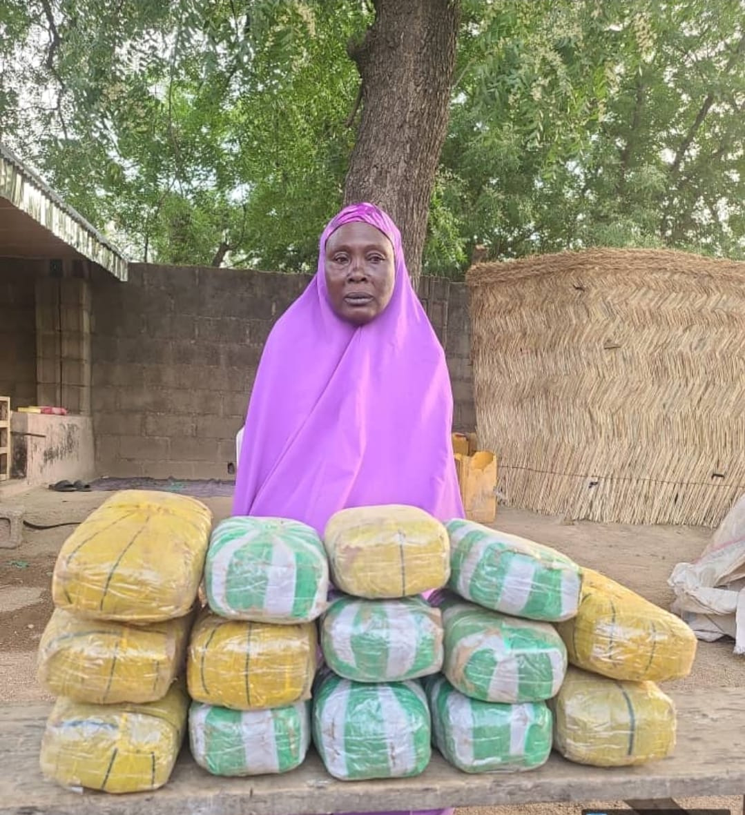 Troops Bust Drug Supply Network, Arrest 65-Year-Old Woman in Borno