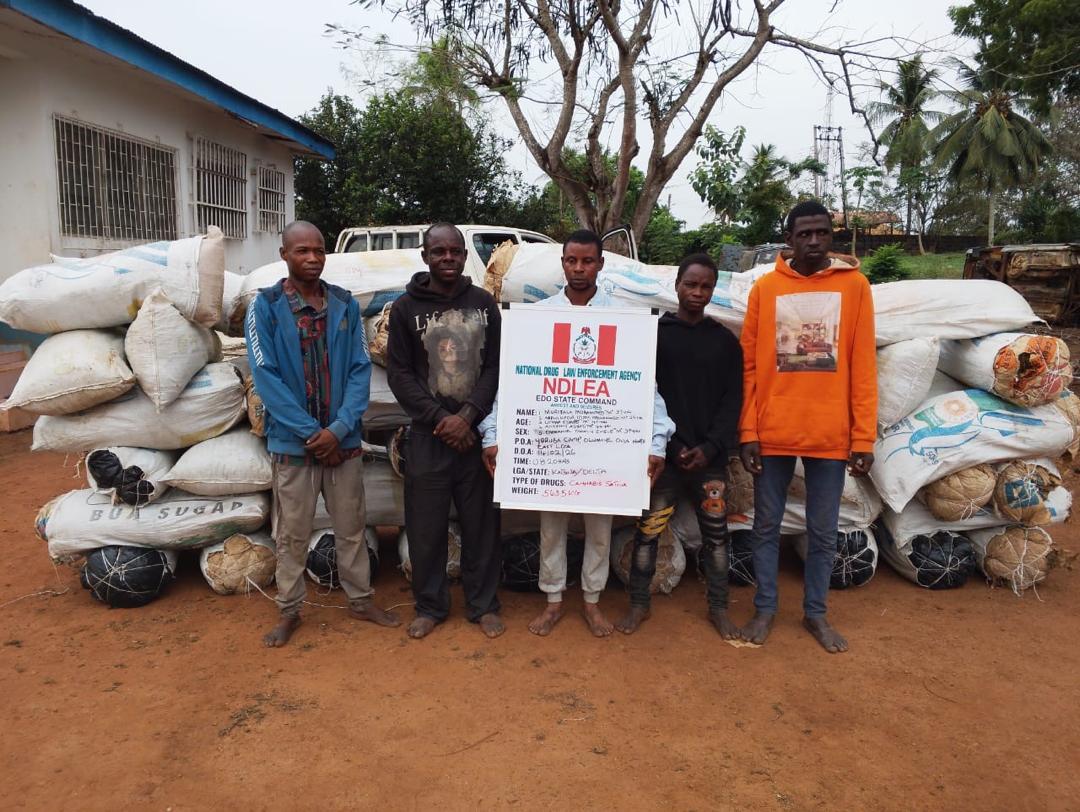 NDLEA: China-Based Businessman, 2 Angolans Excrete 236 Cocaine Wraps At Kano, Abuja Airports

‎