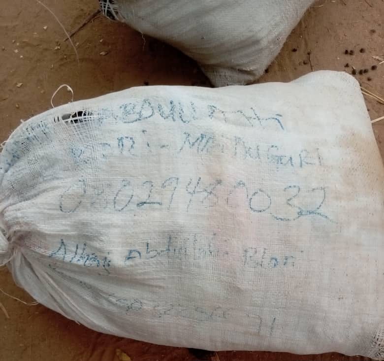 Troops neutralise terrorists, recover weapons in fresh North-East operations
