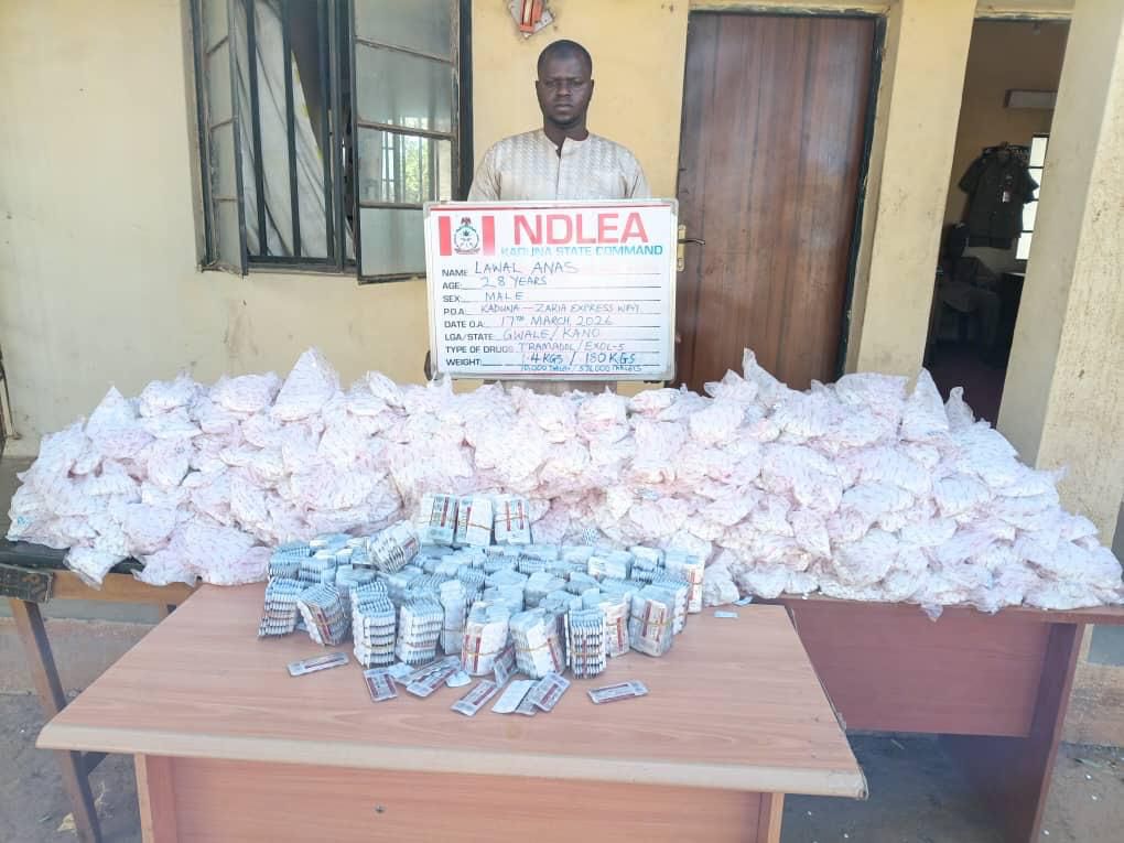 NDLEA Foils Drug Smuggling Attempts at Lagos Airport, Seizes Massive Consignments Nationwide