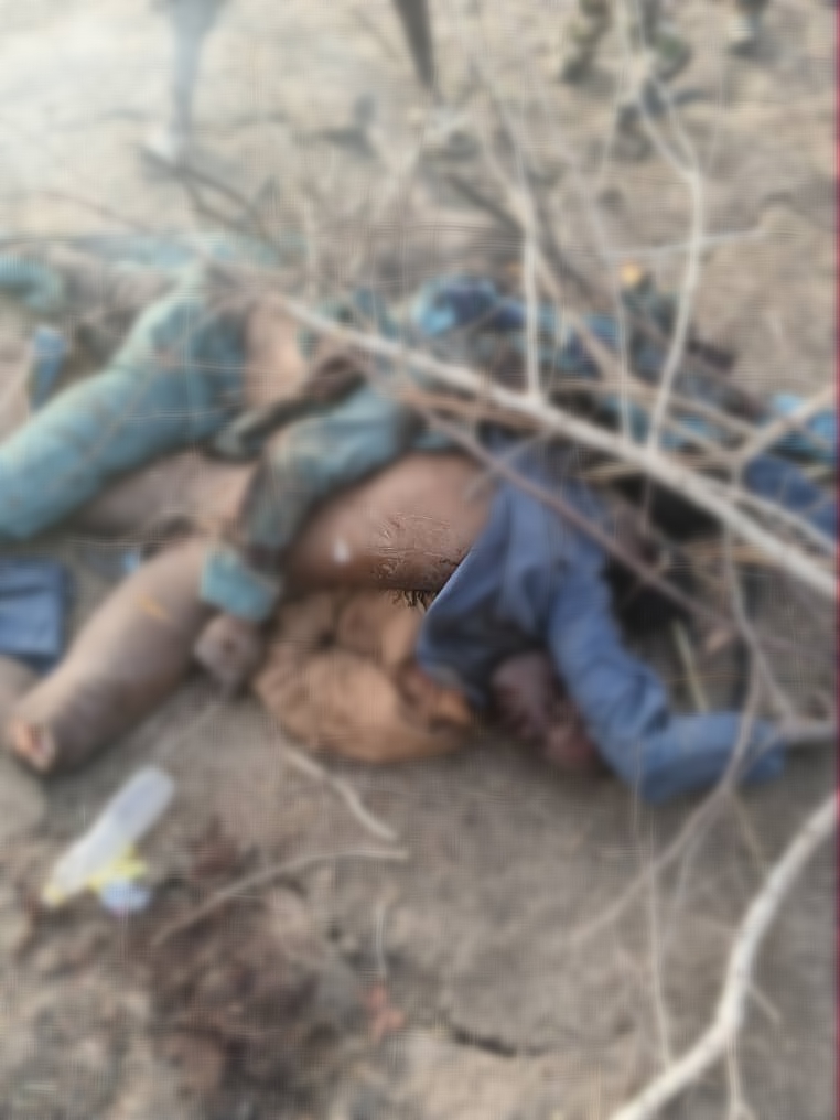 Troops Kill 38 ISWAP Fighters, Crush Major Attack in Borno

‎