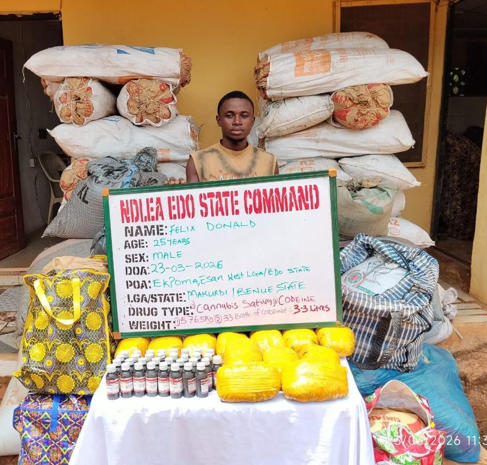 NDLEA intercepts cocaine hidden in dry fish heads, recovers fentanyl, meth in UK-bound shipments

‎