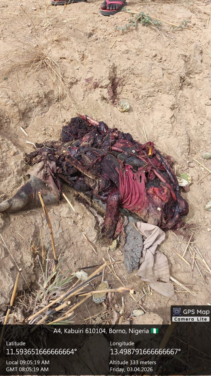 Troops foil IED plot, neutralise terrorists in Borno ambush