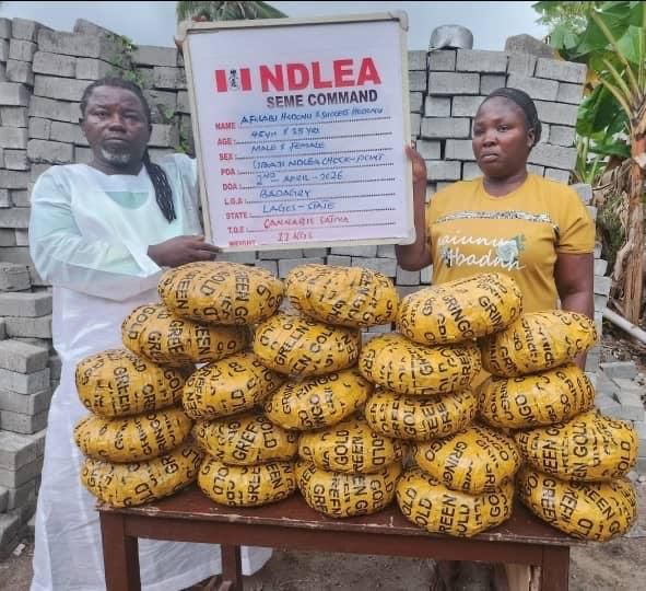 NDLEA uncovers cocaine in palm kernel oil cans, arrests kingpin in Lagos hideout