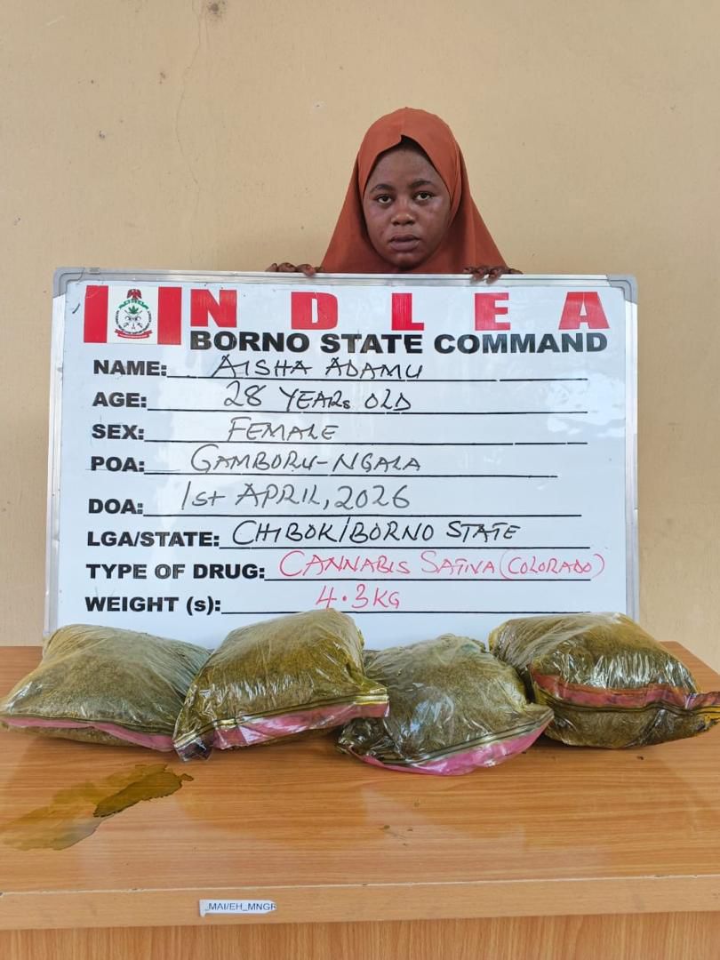 NDLEA uncovers cocaine in palm kernel oil cans, arrests kingpin in Lagos hideout
