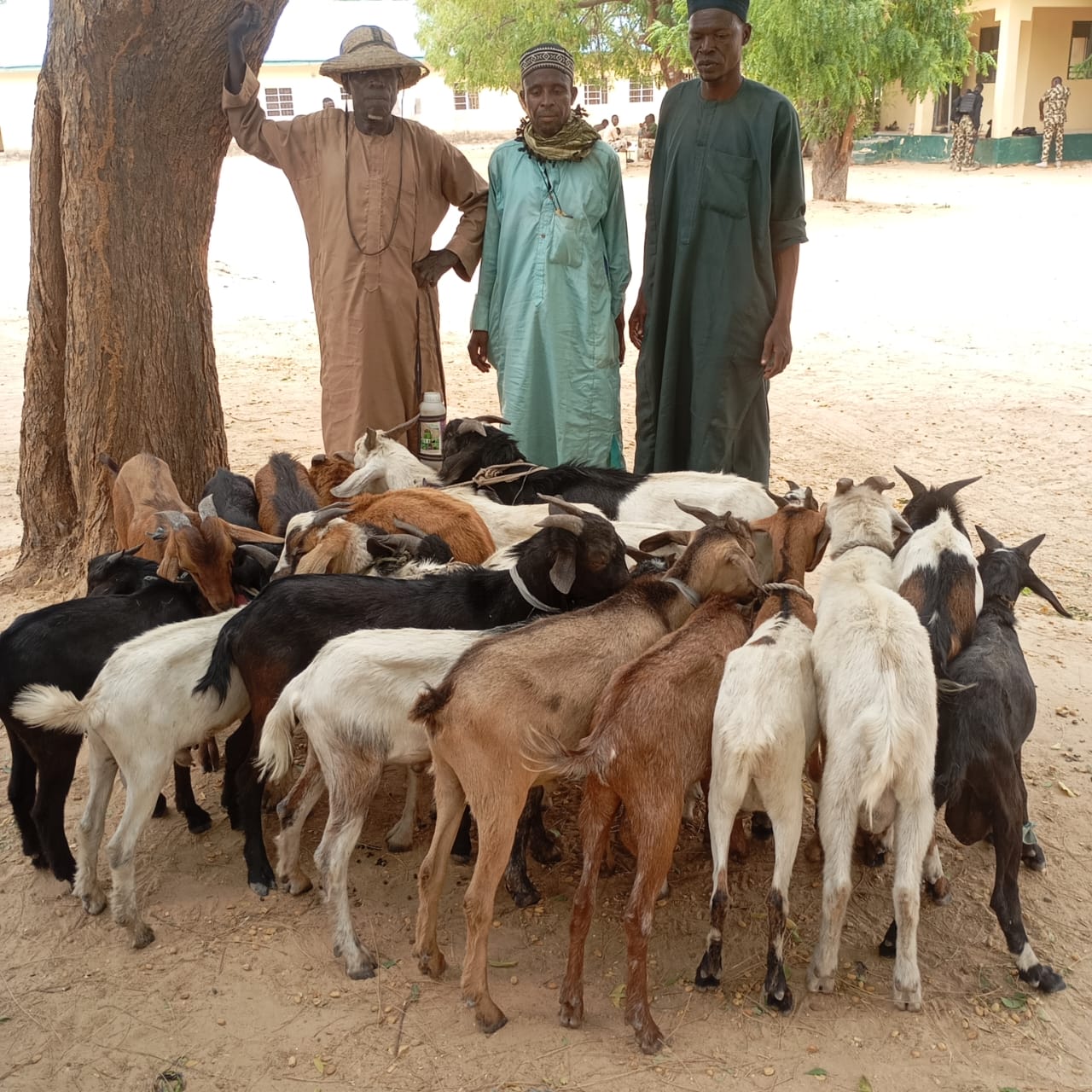 Nationwide Offensive: Troops Kill Terrorists, Rescue Hostages, Recover N4.5m Ransom — DHQ