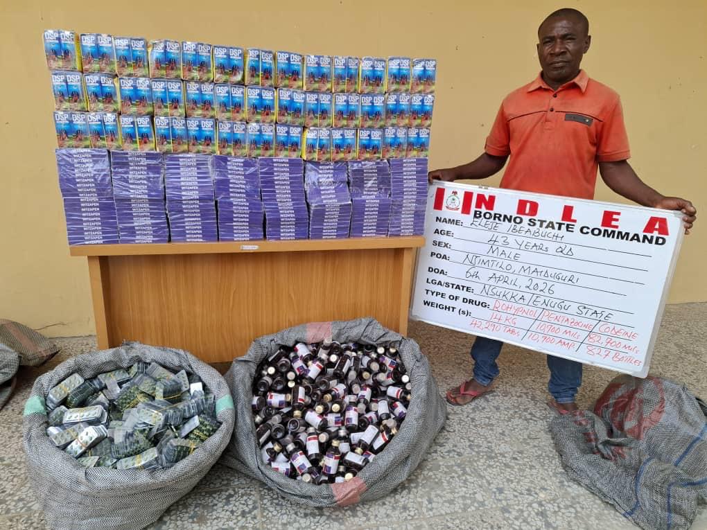 93-Year-Old Great Grandpa, Medical Doctor Nabbed as NDLEA Uncovers Massive Drug Network Nationwide