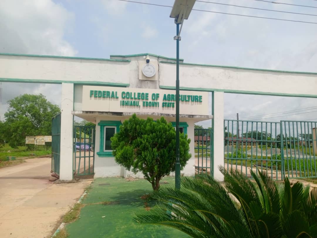 Protests Erupt at Ishiagu College of Agriculture Over Controversial Provost Appointment