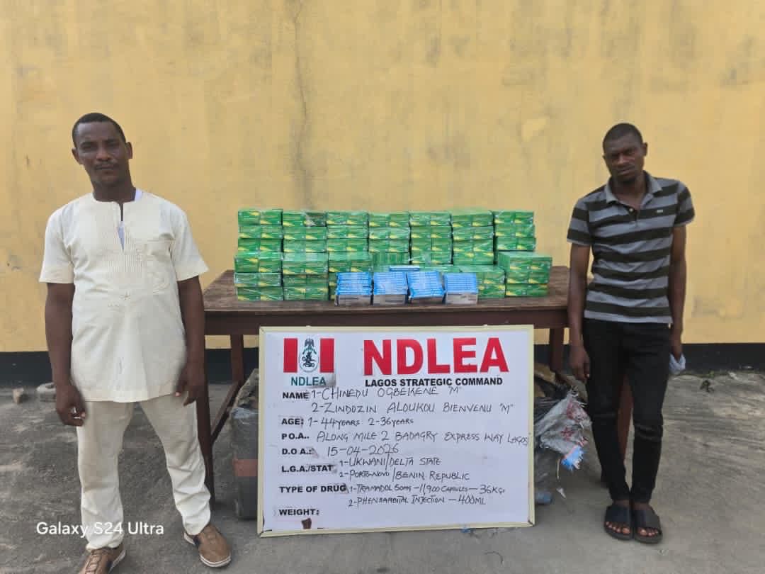 11 Drug Kingpins Jailed 254 Years As NDLEA Secures 974 Convictions In Three Months