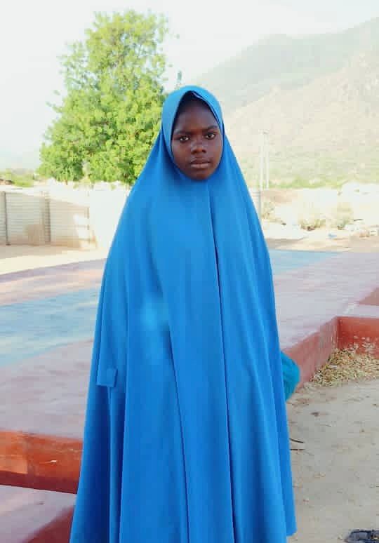 Troops Rescue Six Abductees, Arrest Suspected Boko Haram Collaborators in Borno, Yobe

‎