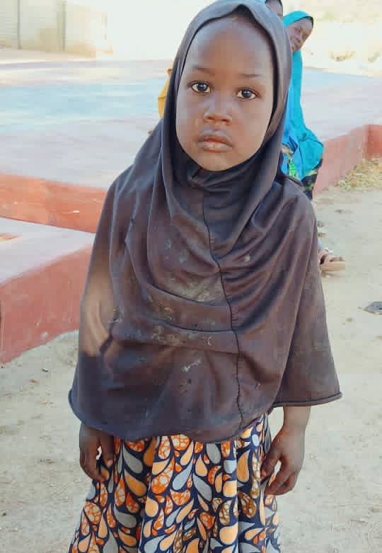 Troops Rescue Six Abductees, Arrest Suspected Boko Haram Collaborators in Borno, Yobe

‎