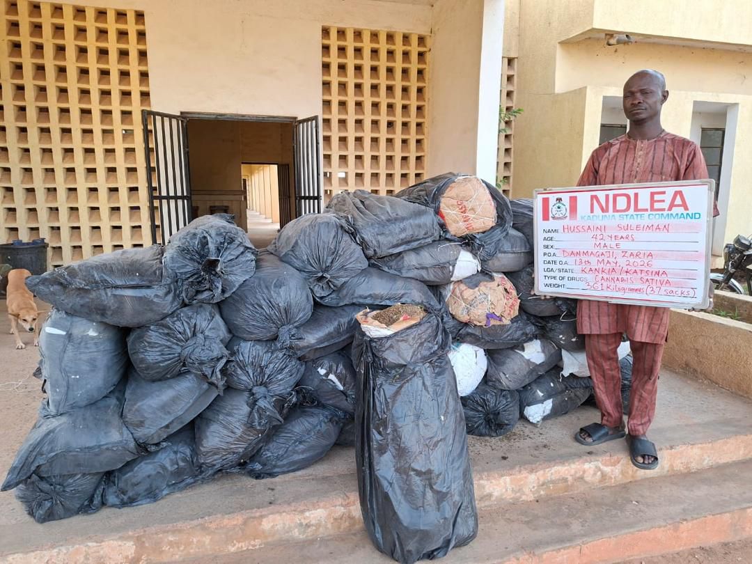 NDLEA Intercepts UK, Australia-Bound Cocaine, Opioids Hidden In Carton Walls, Destroys 65,000kg Skunk In Delta

‎

‎