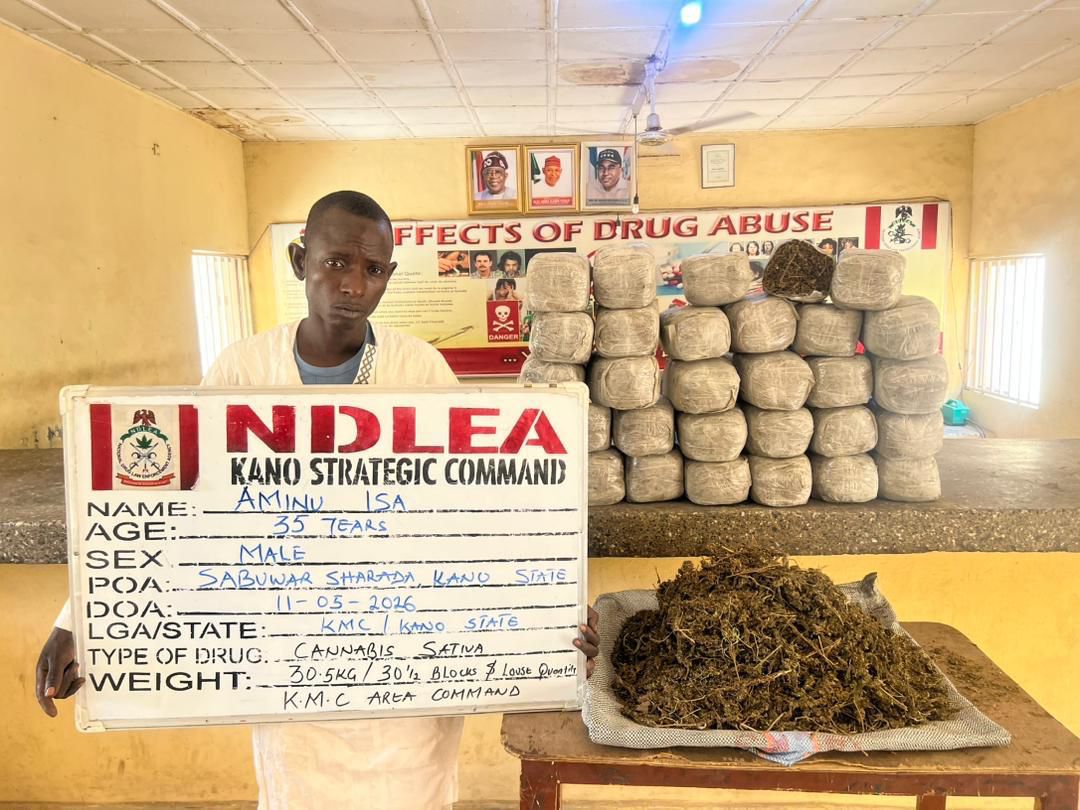 NDLEA Intercepts UK, Australia-Bound Cocaine, Opioids Hidden In Carton Walls, Destroys 65,000kg Skunk In Delta

‎

‎