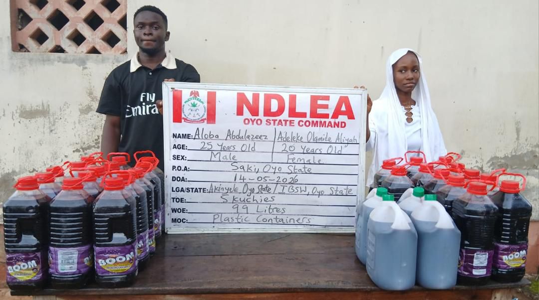 NDLEA Intercepts UK, Australia-Bound Cocaine, Opioids Hidden In Carton Walls, Destroys 65,000kg Skunk In Delta

‎

‎