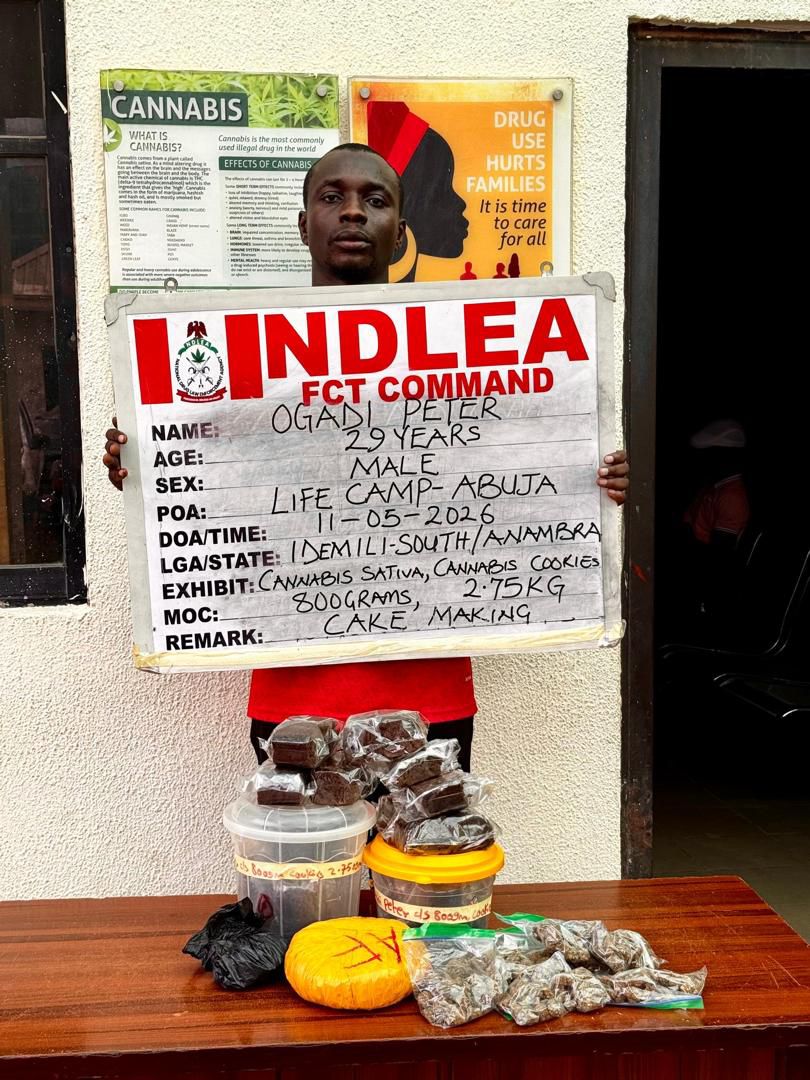 NDLEA Intercepts UK, Australia-Bound Cocaine, Opioids Hidden In Carton Walls, Destroys 65,000kg Skunk In Delta

‎

‎