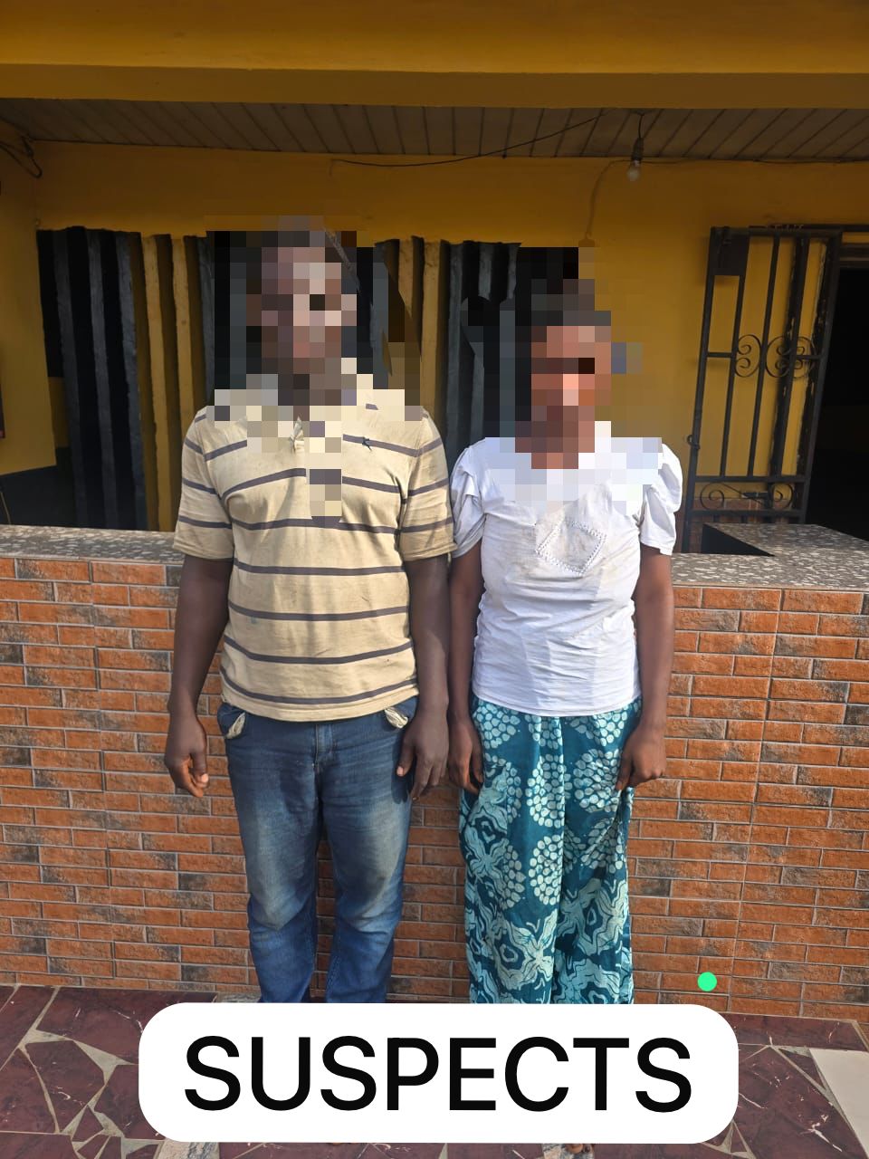 Ogun Police Bust Child-Stealing Syndicate, Rescue Three Abducted Children In Mowe