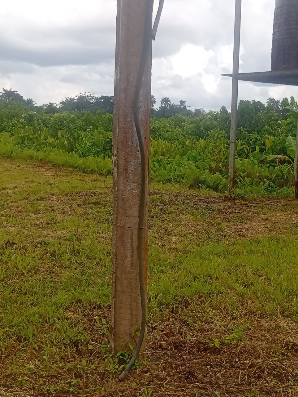 Navy Operatives Arrest Two Suspected Cable Vandals in Bayelsa
