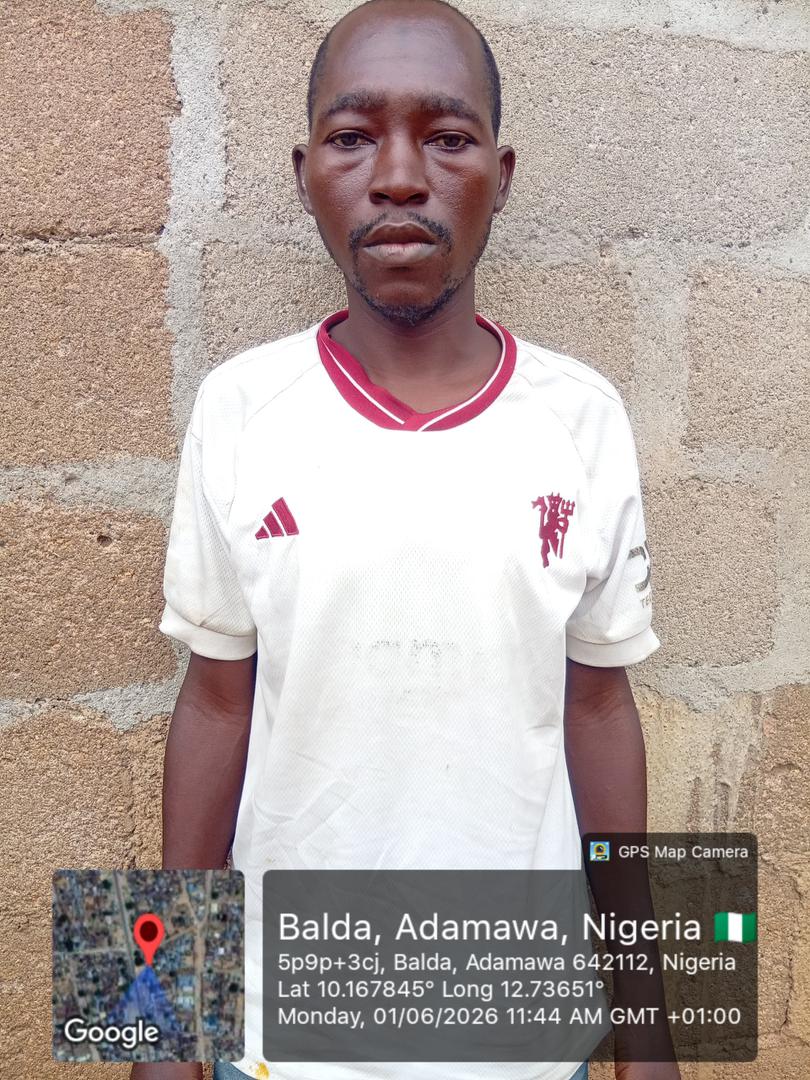 Troops Arrest Two Suspected ISWAP Members in Adamawa, Recover Confessions on Attacks