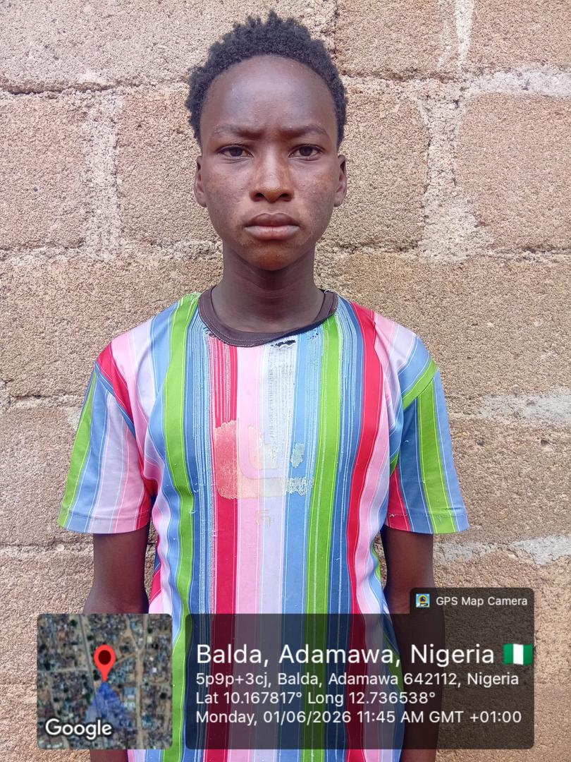 Troops Arrest Two Suspected ISWAP Members in Adamawa, Recover Confessions on Attacks