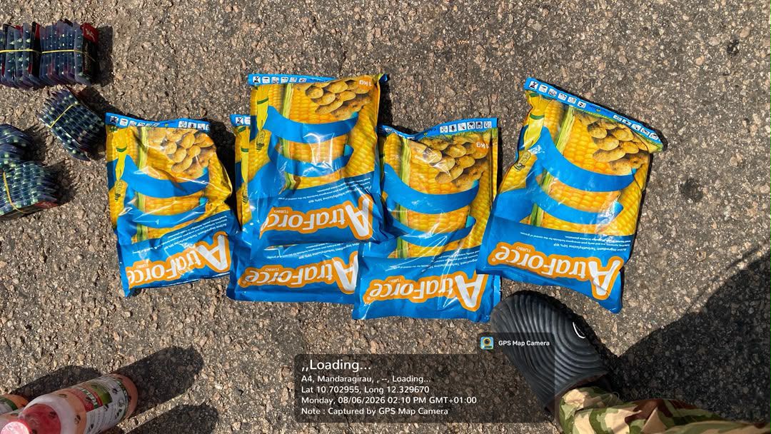 Troops Arrest Two Suspected ISWAP Logistics Suppliers in Borno