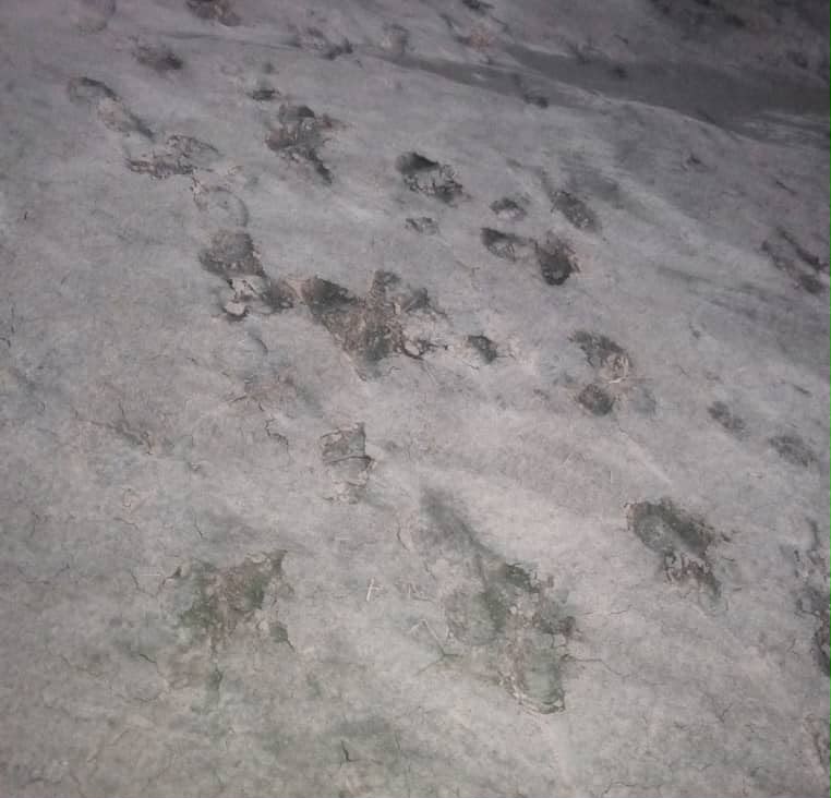 ‎Troops Repel Coordinated Boko Haram Attack, Rescue Nine Civilians, Arrest Terrorist Collaborators

‎