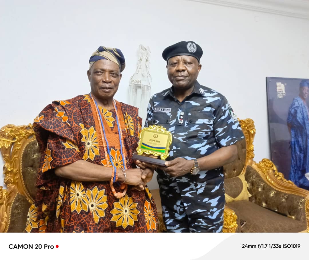 Police Deploy Technology to Rescue Abducted Oyo Pupils, Teachers — DIG Fayoade
