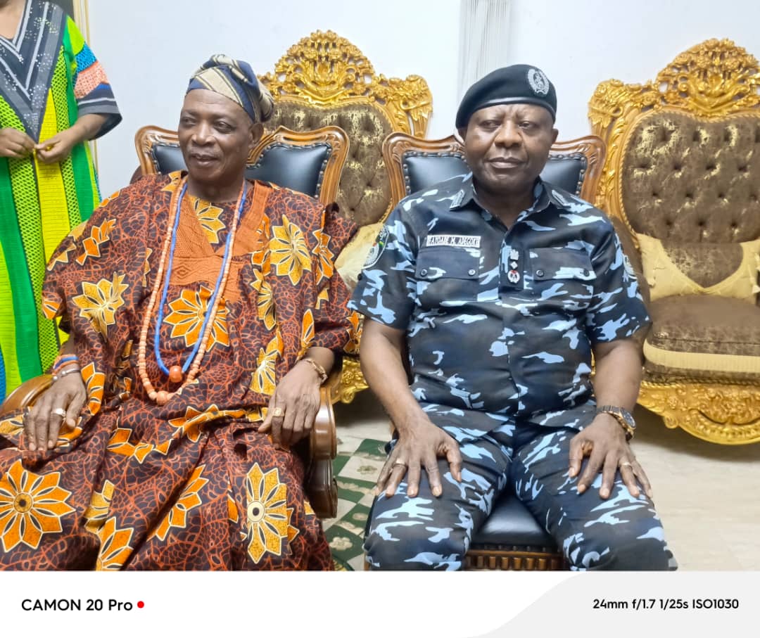 Police Deploy Technology to Rescue Abducted Oyo Pupils, Teachers — DIG Fayoade
