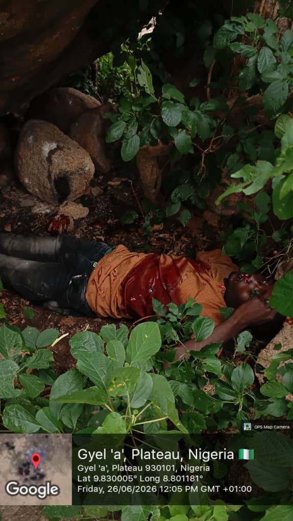 Troops Neutralise militia, Recover Rustled Livestock After Attack During Clearance Operation in Plateau