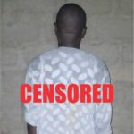 Military Pressure Forces Top ISWAP Leaders to Surrender as 76 Terrorist Foot Soldiers Lay Down Arms in North-East ‎