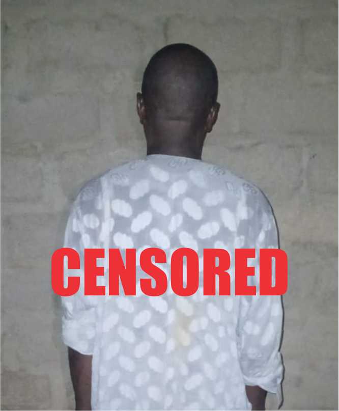 Military Pressure Forces Top ISWAP Leaders to Surrender as 76 Terrorist Foot Soldiers Lay Down Arms in North-East ‎