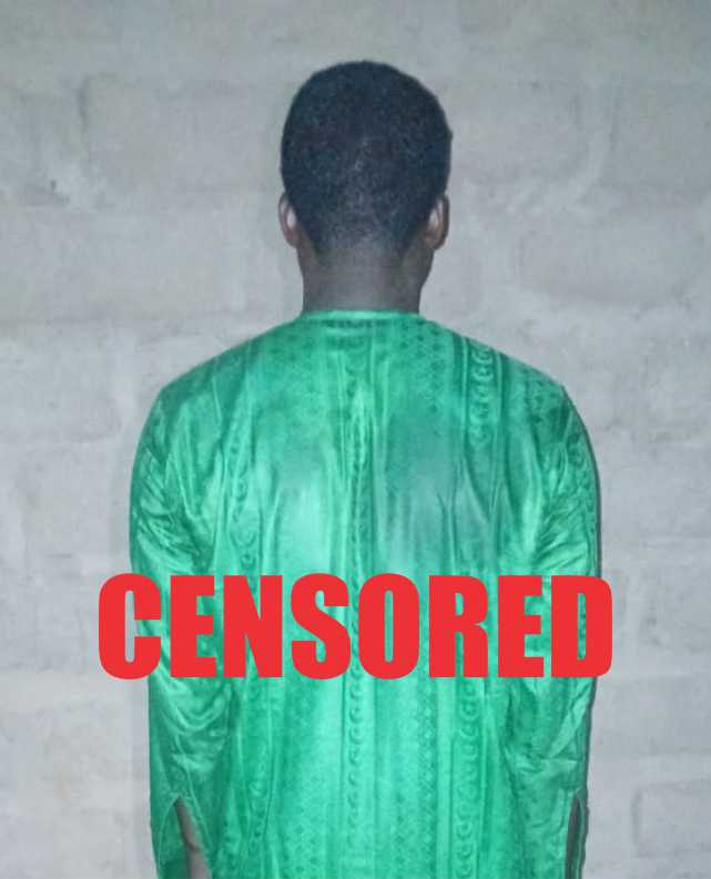 Military Pressure Forces Top ISWAP Leaders to Surrender as 76 Terrorist Foot Soldiers Lay Down Arms in North-East

‎