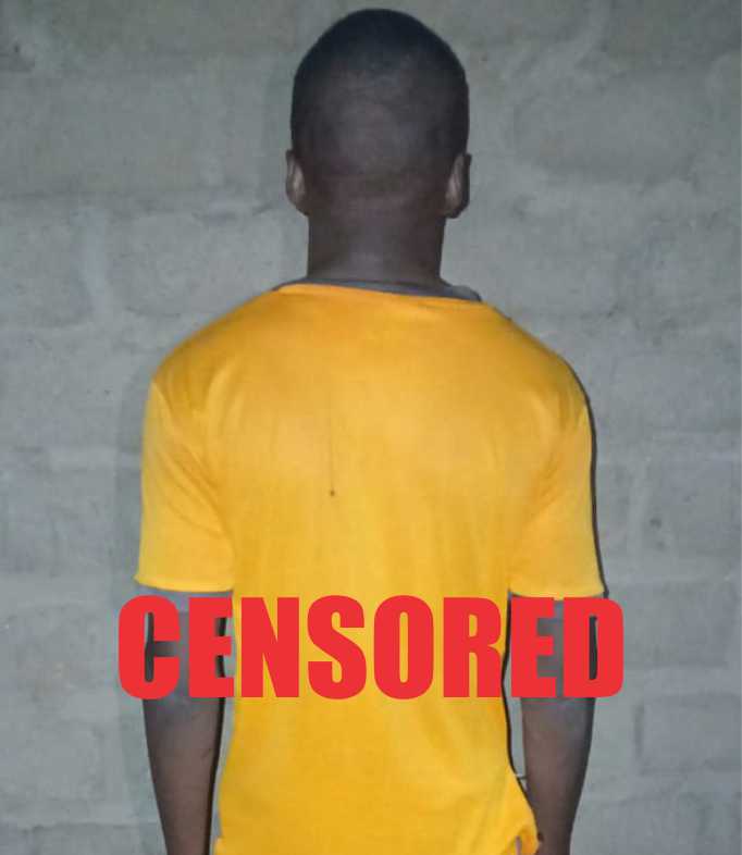 Military Pressure Forces Top ISWAP Leaders to Surrender as 76 Terrorist Foot Soldiers Lay Down Arms in North-East

‎