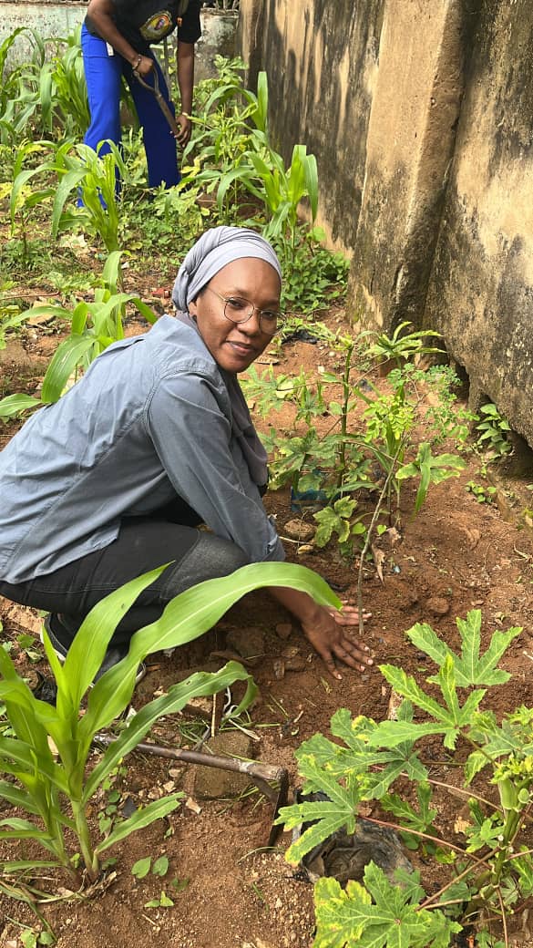 SheLeads Fellows Plant Over 60 Trees Across Nigeria's Six Geopolitical Zones in Nationwide Climate Action Exercise