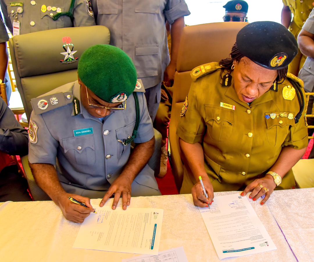 Customs Intercepts ₦53.39bn Drugs, Fake, Expired Medicines at Apapa, Warns Smugglers