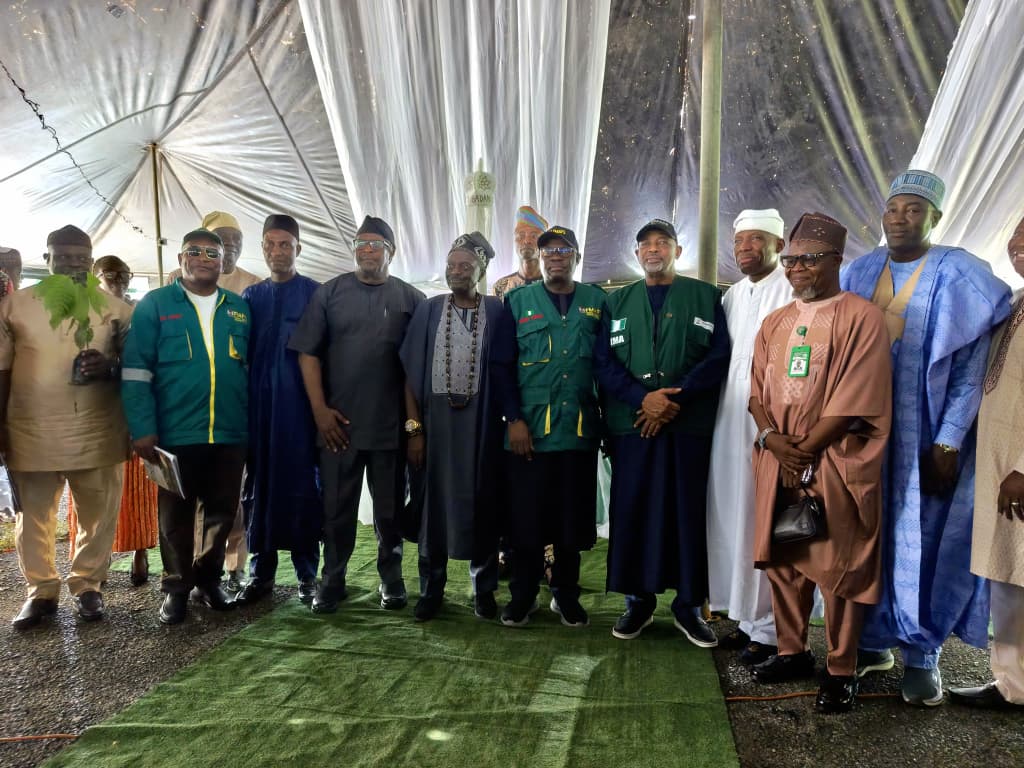 FG Launches One Million Climate-Smart Cocoa Seedlings to Boost Exports, Jobs