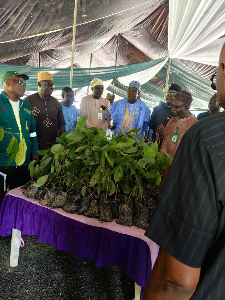 FG Launches One Million Climate-Smart Cocoa Seedlings to Boost Exports, Jobs