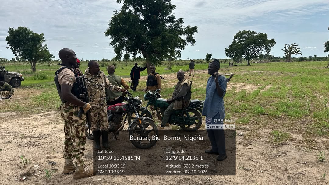 Airstrikes Destroy ISWAP Stronghold, Logistics Hub in Borno
