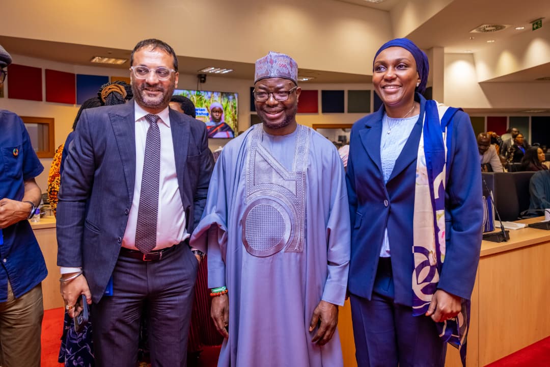 NEMA Reaffirms Commitment to Nigeria's Humanitarian Transition