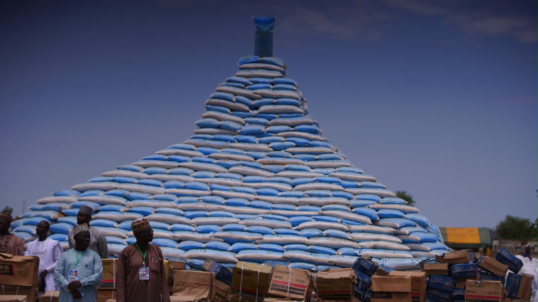 Zulum Edifying Borno's Future: Notable Upshots From The Weeklong Southern Borno Tour