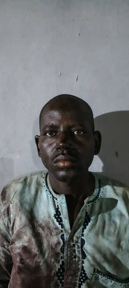 Troops Arrest Two Suspected Terrorist Informants, Cattle Rustlers in Yobe Market