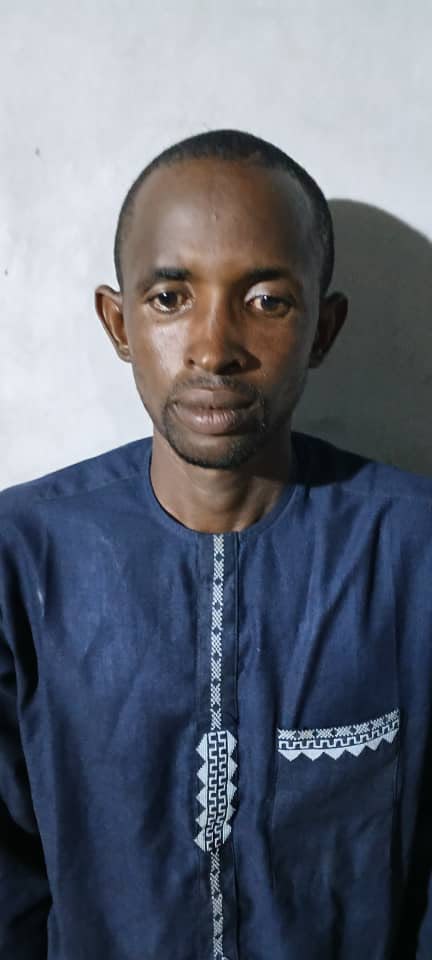 Troops Arrest Two Suspected Terrorist Informants, Cattle Rustlers in Yobe Market
