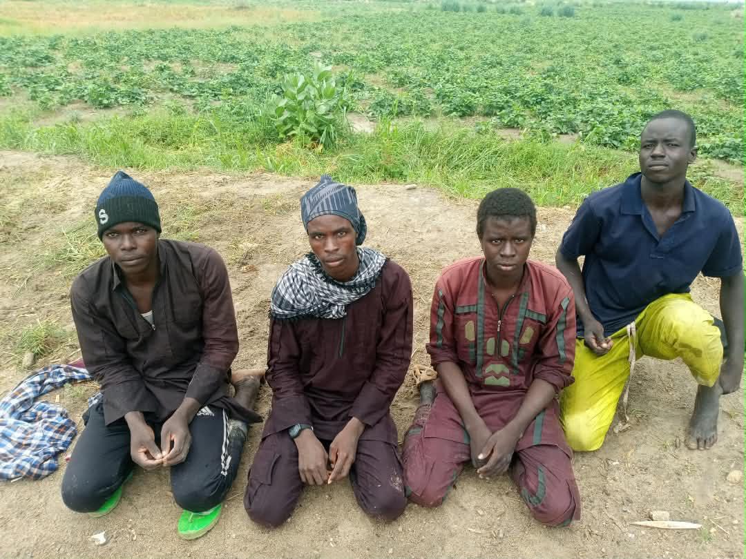 Terrorist surrenders surge by 202% as military pressure mounts in North-East