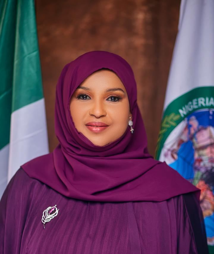 NFIU Uncovers Terrorist Financing Through Women’s Accounts, Crowdfunding