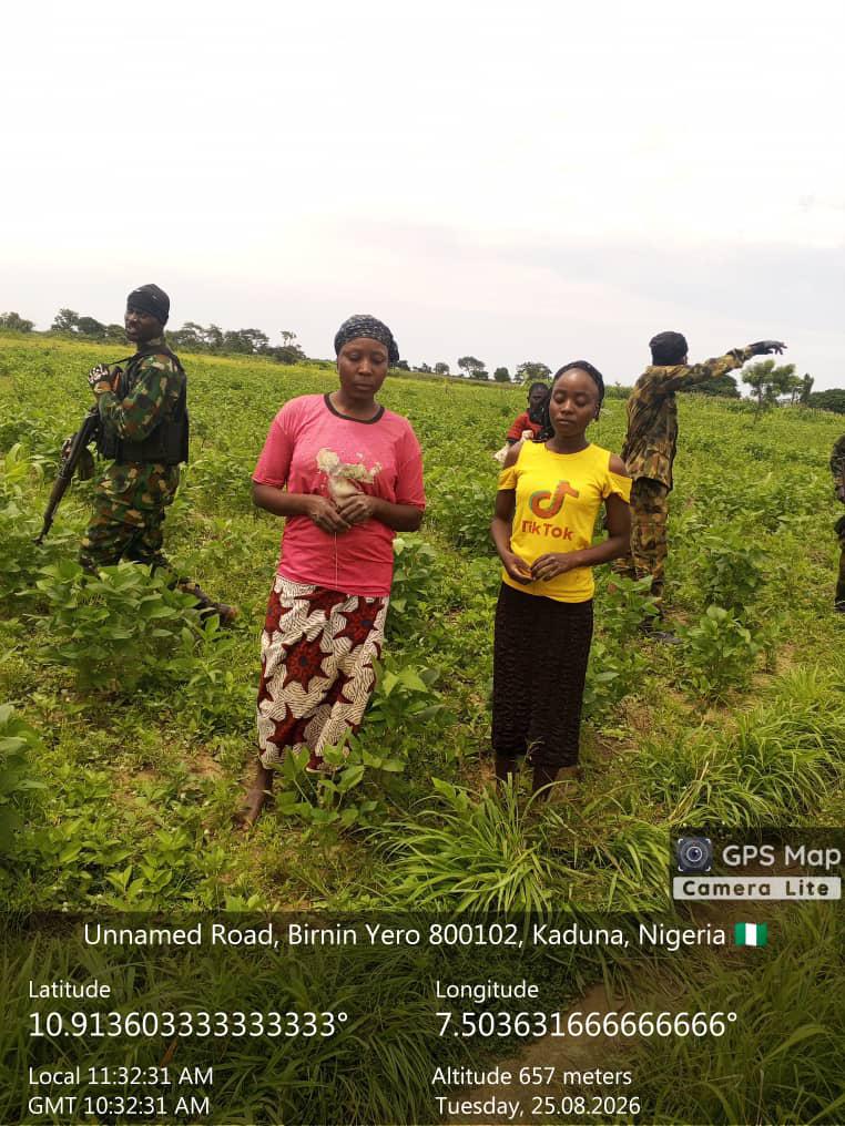 Troops Rescue Two Kidnap Victims, Recover 94 Rustled Livestock in Kaduna, Kano